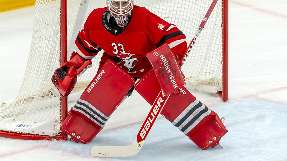 Sveits: Patrick Fischer oppfordret Kevin Pasche og Dario Rohrbach